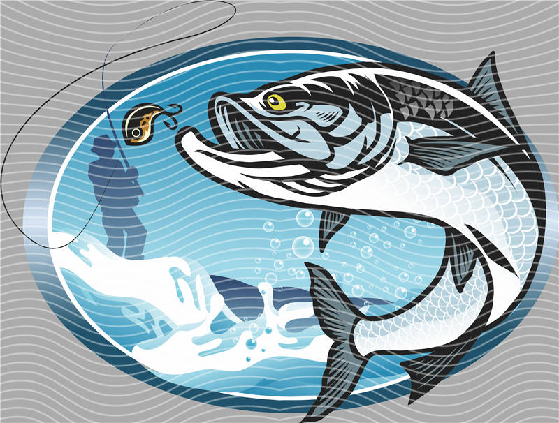 Fishing Series-DY 290